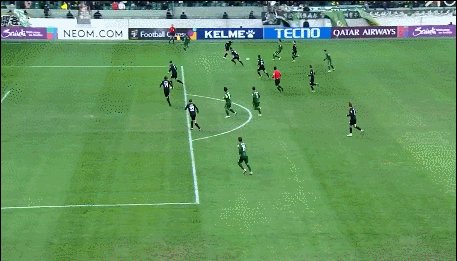 1765462509553059771.gif 塞鸟.gif