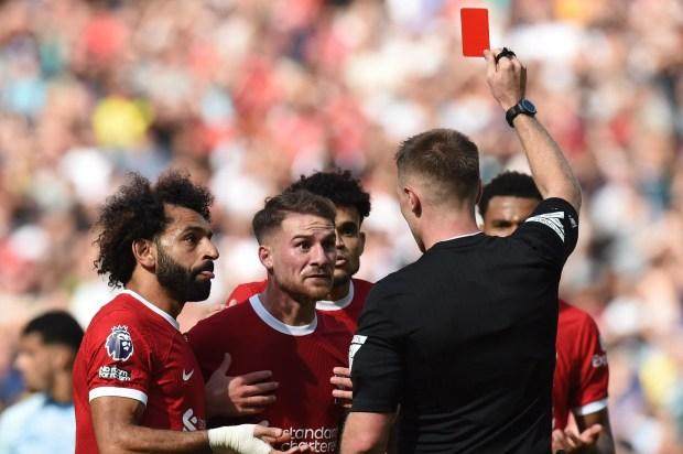 1692465597601077375.jpg crop-23557469.jpg