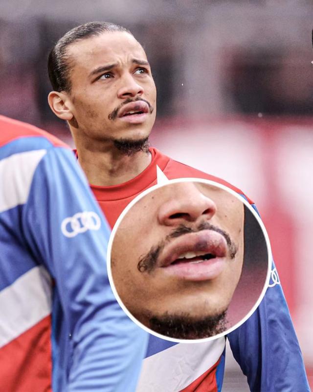 1681628191568054749.jpg 微信图片_20230416144917.jpg